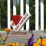 5 сентября празднуем День города - Администрация г.о. Жигулевск