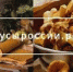 Вкусы России - Администрация г.о. Жигулевск