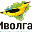 «iВолга» - Администрация г.о. Жигулевск