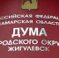 Конкурс на замещение должности Главы городского округа Жигулевск - Администрация г.о. Жигулевск