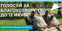 Выбираем комфортную городскую среду - Администрация г.о. Жигулевск